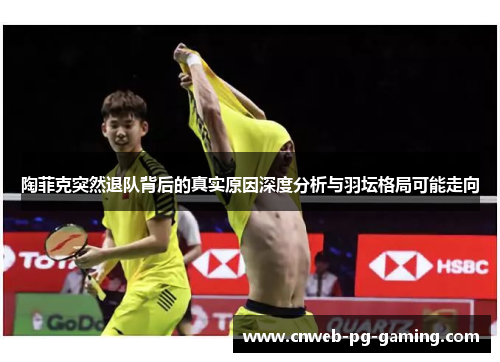陶菲克突然退队背后的真实原因深度分析与羽坛格局可能走向 陶菲克突然退队背后的真实原因深度分析与羽坛格局可能走向