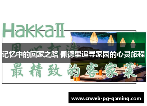 记忆中的回家之路 佩德里追寻家园的心灵旅程